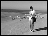 At Boca Grande beach.  Photograph by Janet Ogg.